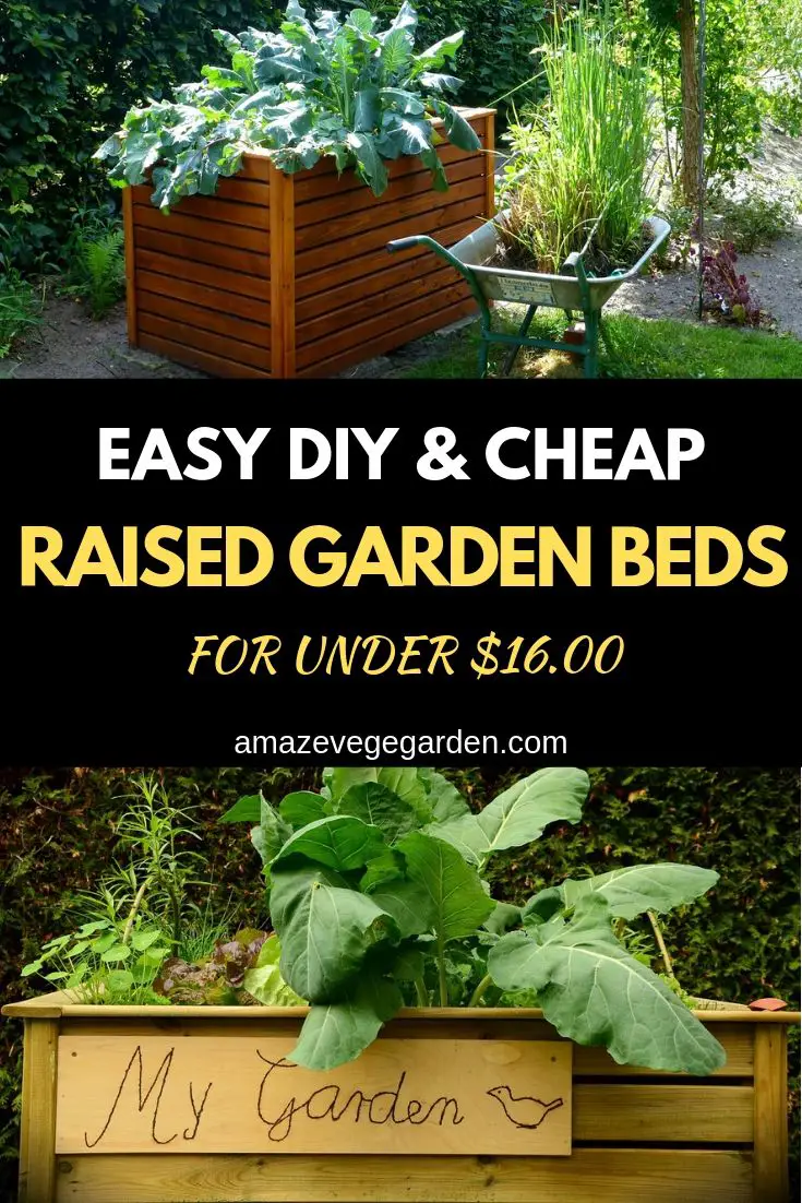 How To Build A Cheap Raised Garden Bed For Under $16 – Amaze Vege Garden