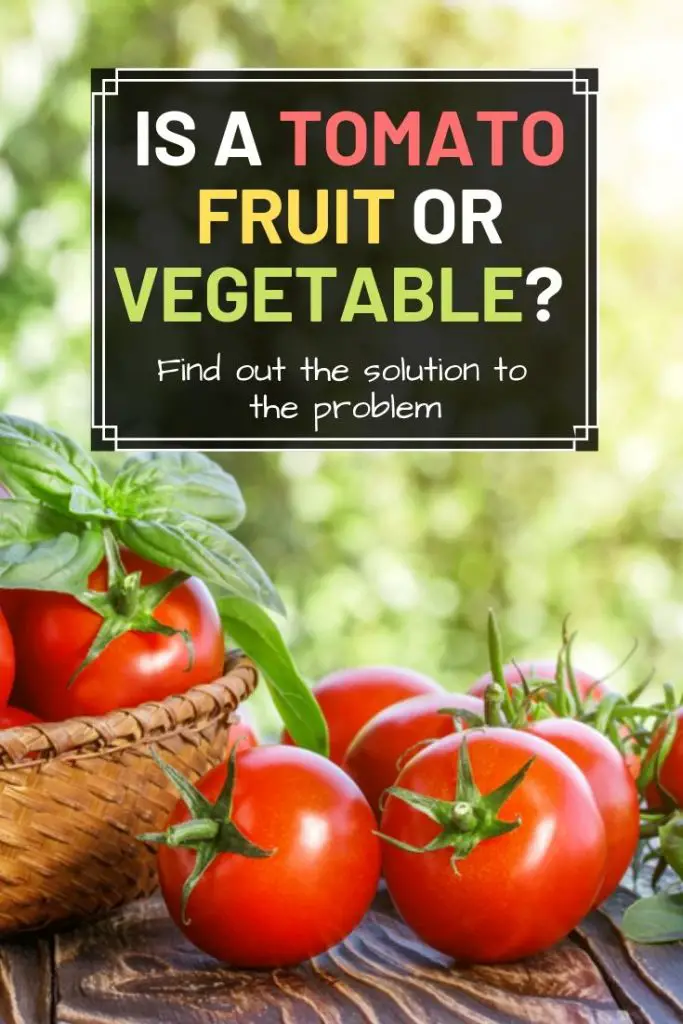 Is A Tomato Fruit Or Vegetable? (yes Or No) – Amaze Vege Garden