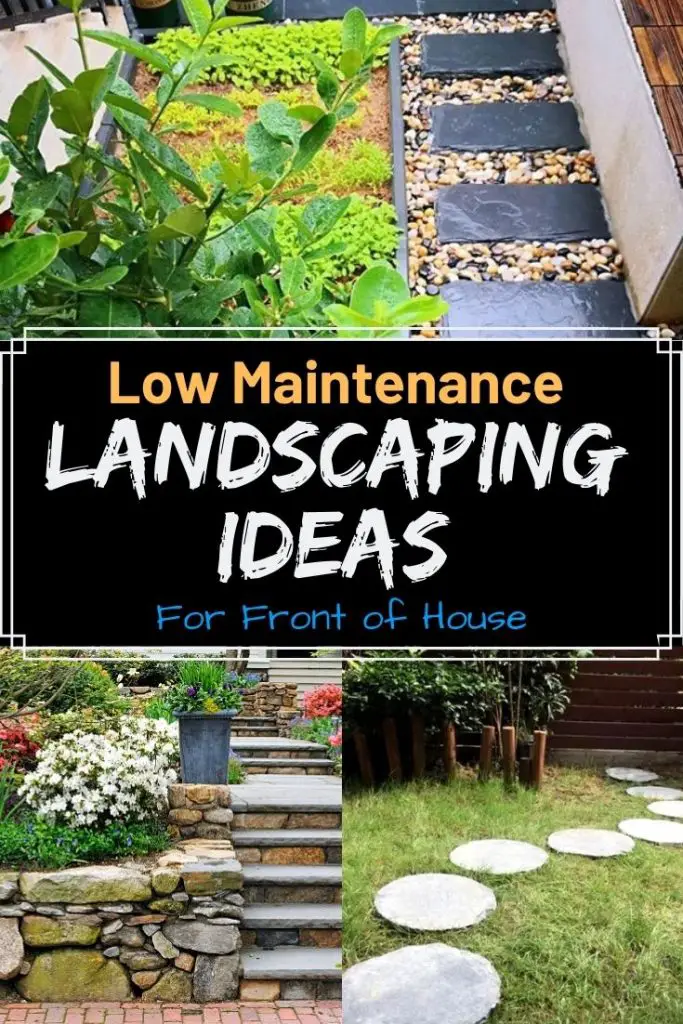 Low Maintenance Landscaping Ideas for Your House – Amaze Vege Garden