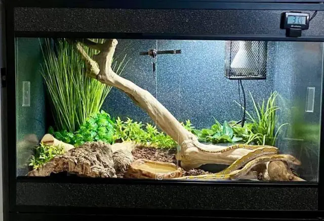 Aquarium, Terrarium, Vivarium, Riparium, Paludarium, Solarium and ...