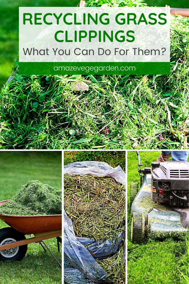 when to bag grass clippings